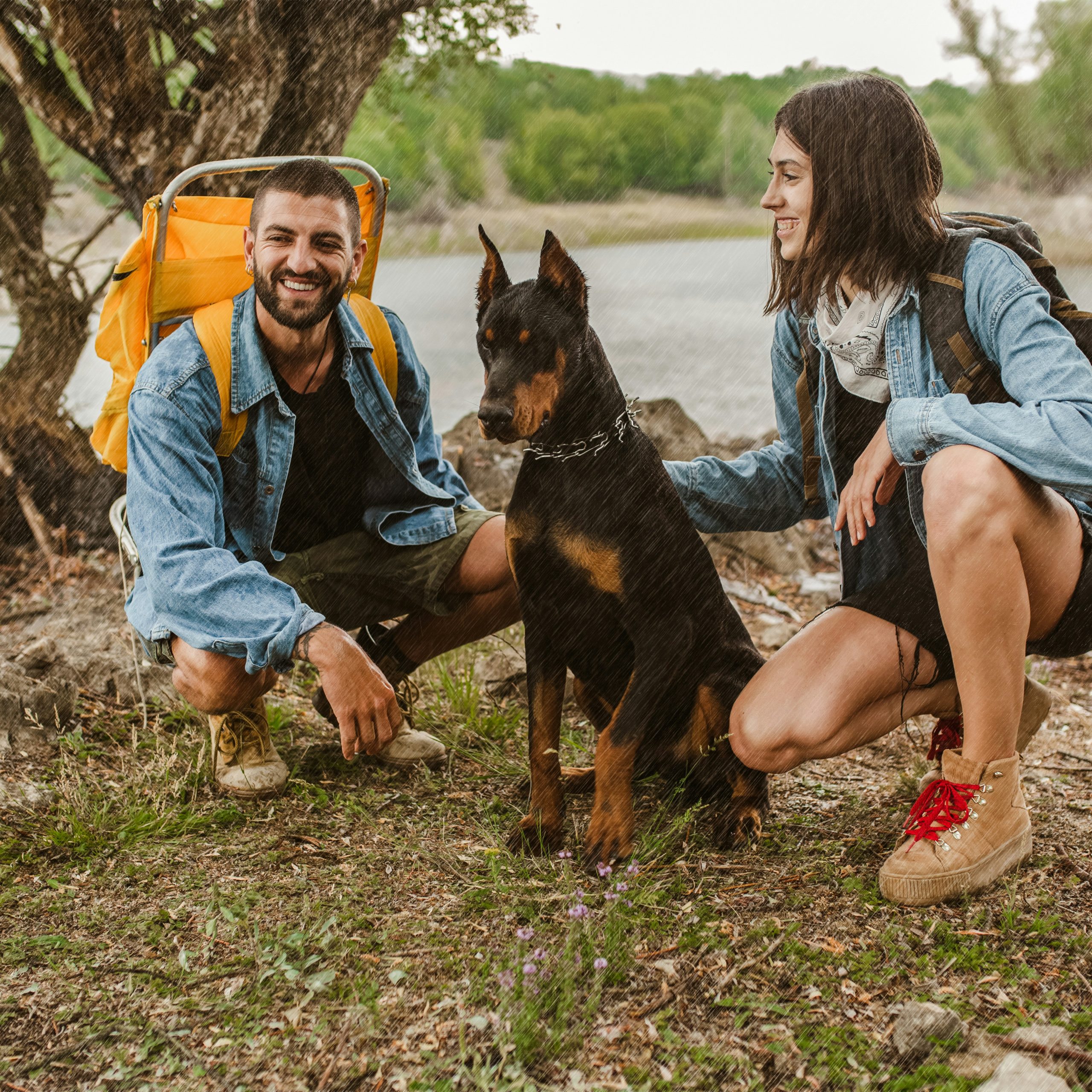 10 Onverwachte Manieren Waarop Honden Je Relaties Verbeteren