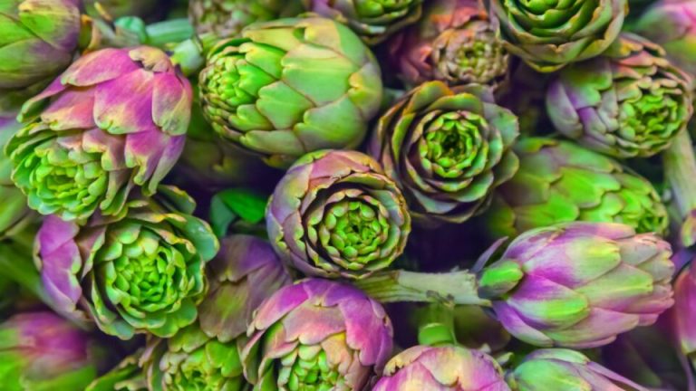 9 Meerjarige Groenten Die Jaar Na Jaar Terug Blijven Komen