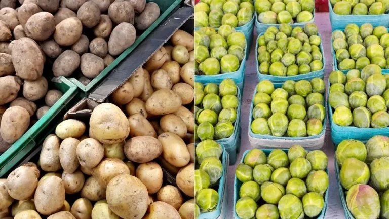 Hoe Je Aardappelen En Andere Groenten Op De Juiste Manier Bewaart, Zodat Ze Langer Meegaan