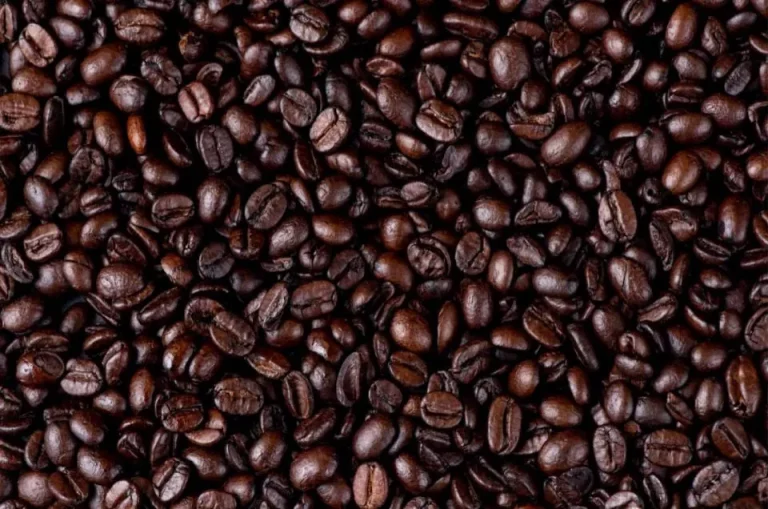 Is Koffiedik Goed Voor Rozen? Ontdek De Verrassende Voordelen