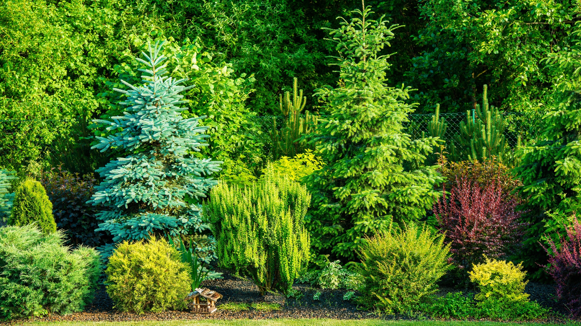 18 Bomen Die Drukke Stadstuinen In Privéretraites Veranderen (en Nog Een Paar Voor Seizoensgebonden Charme)