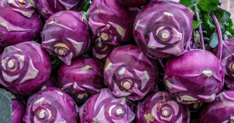 19 Snelst Groeiende Groenten Voor Drukke Tuiniers