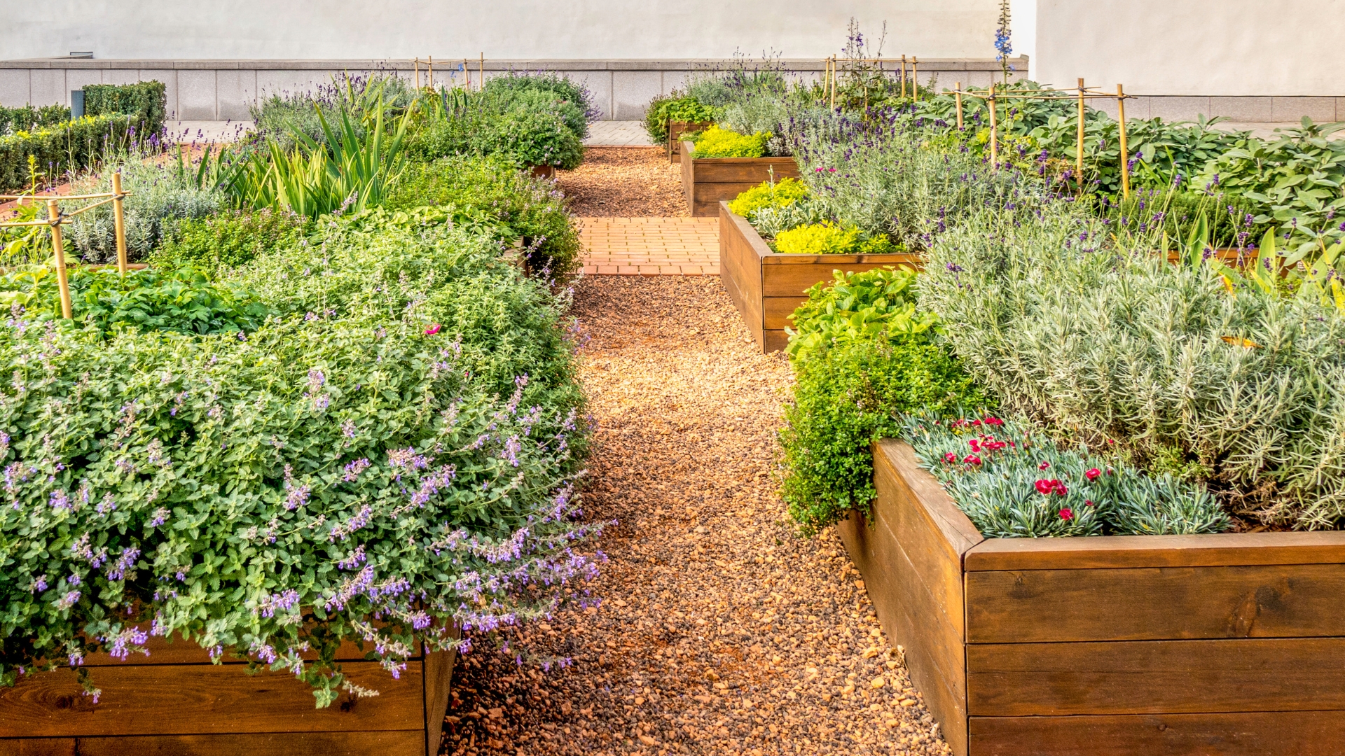 Dit Zijn De Drie Belangrijkste Ingrediënten Om In De Aarde Van Een Verhoogde Plantenbak Te Gebruiken