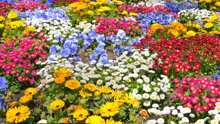 Gebruik Deze 3 Meststoffen Om Je Bloemen Als Nooit Tevoren Te Laten Gedijen