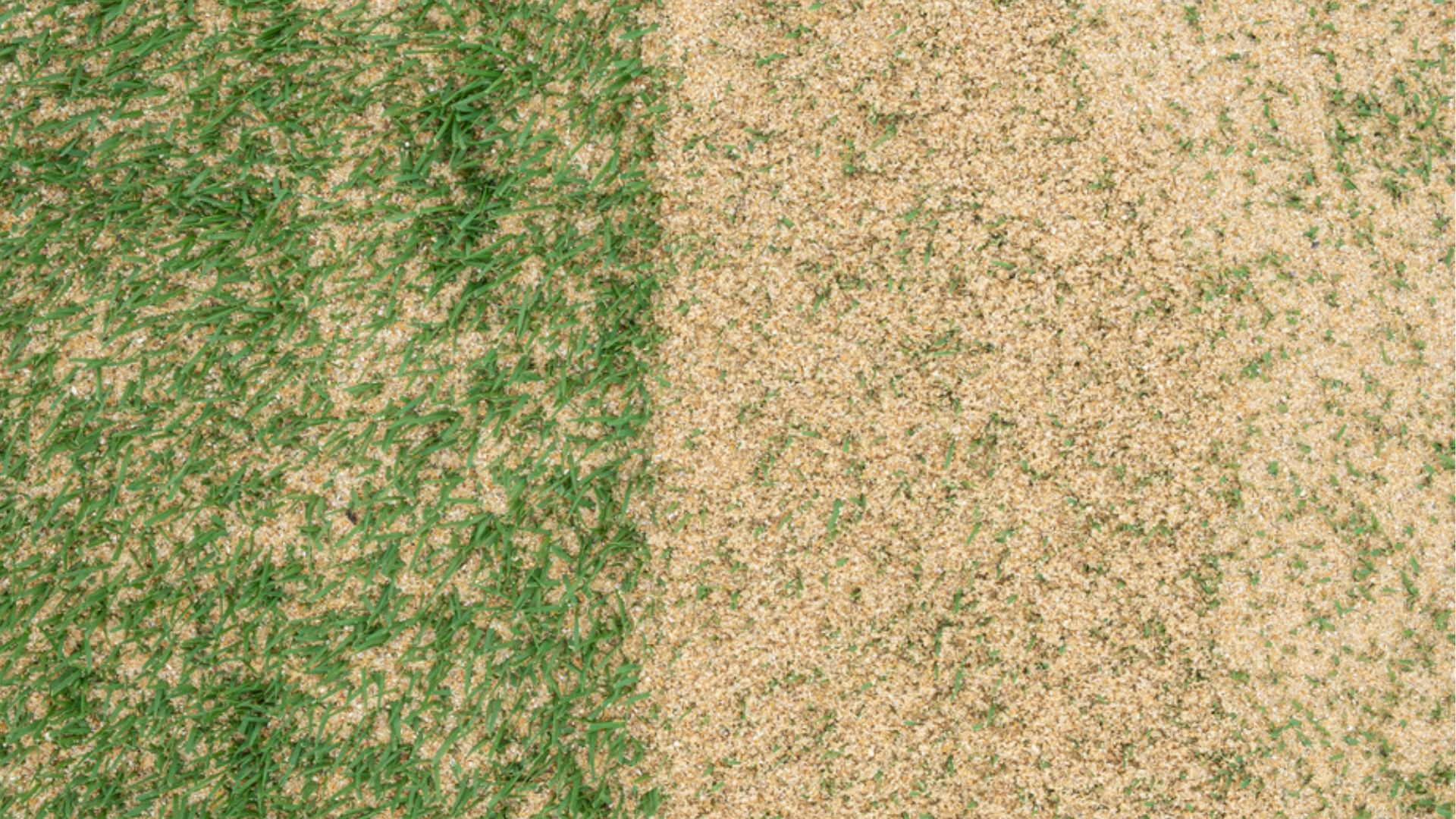 Gebruik Deze Zandtips Om Je Gazon Een Boost Te Geven En Je Gras Als Nooit Tevoren Te Laten Gedijen