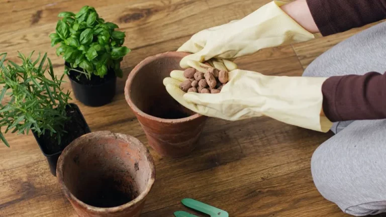 Is Het Toevoegen Van Stenen En Grind Aan De Bodem Van Plantenbakken Het Geheim Van Bloeiende Planten?