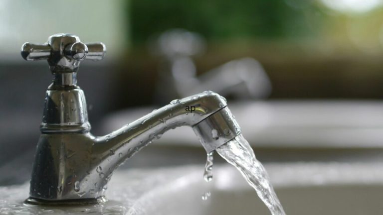 Is Leidingwater Veilig Voor Je Kamerplanten? Ontdek De Feiten Voordat Je Je Planten Weer Water Geeft