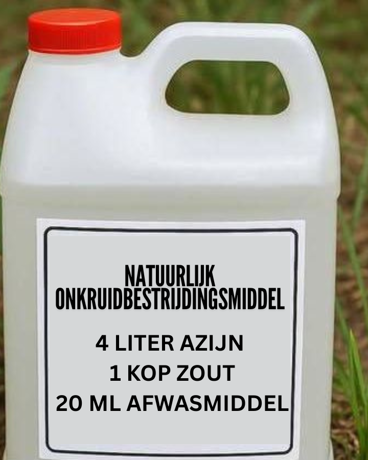 Mijn oma zweert bij dit doe-het-zelf recept tegen onkruid. Zo werkt het