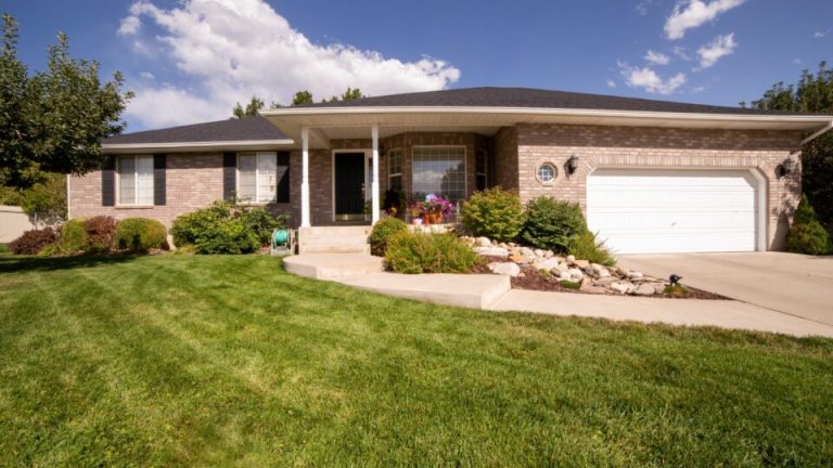 18 veelvoorkomende redenen waarom je gazon bruin wordt in juli