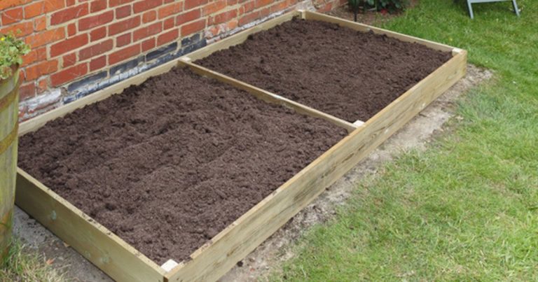6 essentiële tips voor tuinieren in verhoogde bakken