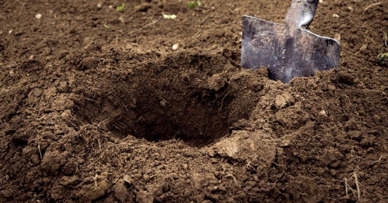 8 tips voor een onderhoudsarme tuin die je écht moet kennen