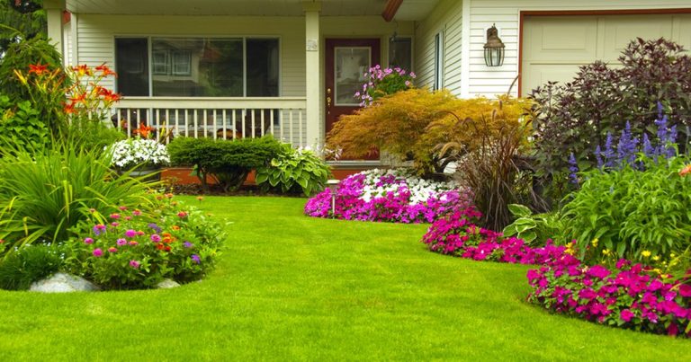 Eetbare struiken om toe te voegen aan je tuinontwerp