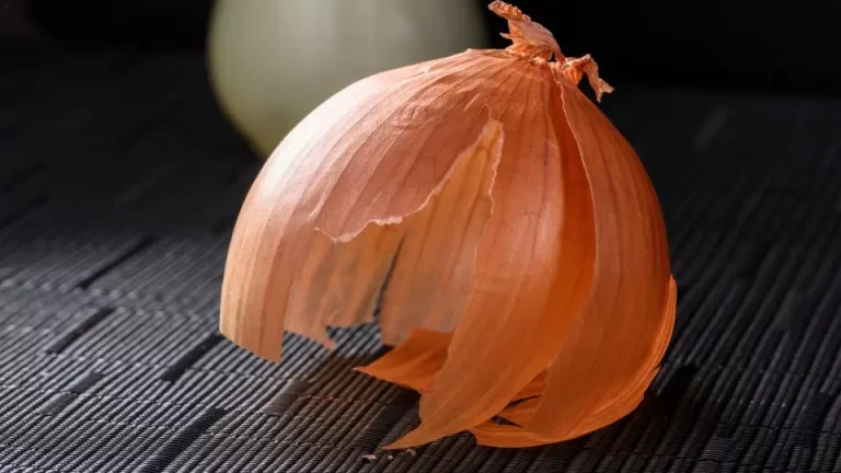 Ontdek 10 manieren waarop uienschillen je tuin verbeteren en je gezondheid een boost geven