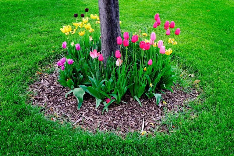 14 creatieve ideeën voor tuinieren rond bomen