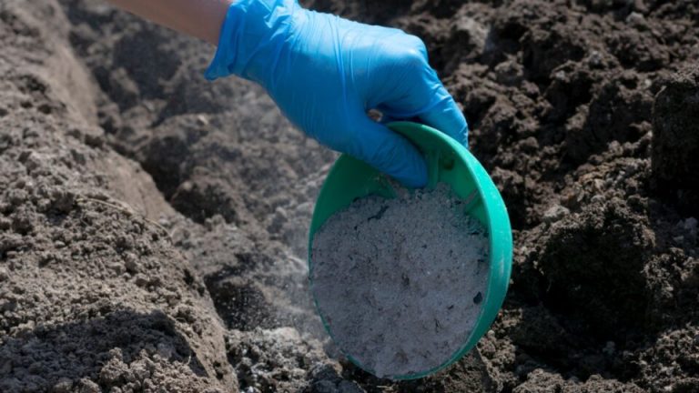 45 Briljante toepassingen van houtas voor binnen- en buitenruimtes