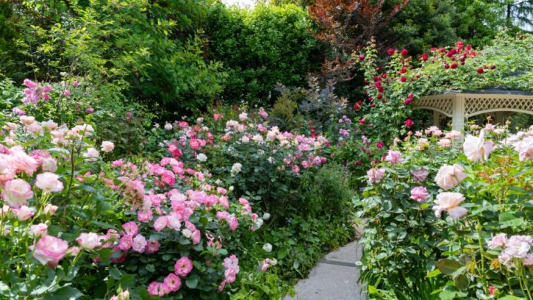 7 ideeën voor geurende tuinen om een geurige oase te creëren