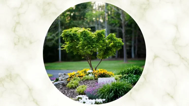 8 handige tips voor tuinieren rondom bomen met stenen