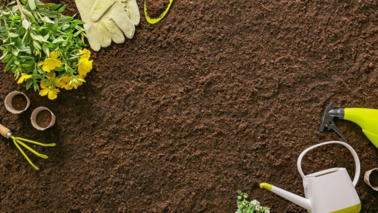 Deze 15 geniale tips helpen je een gezonde tuin te onderhouden met weinig moeite