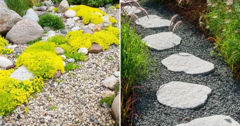 Gebruik deze 2 briljante tips voor een onderhoudsarme en droogteresistente grindtuin