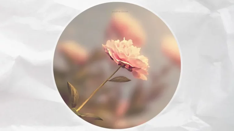 Hoe rozen te kweken en effectief met veelvoorkomende problemen om te gaan