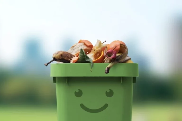 Waarom voedselafval recyclen beter is dan het weggooien