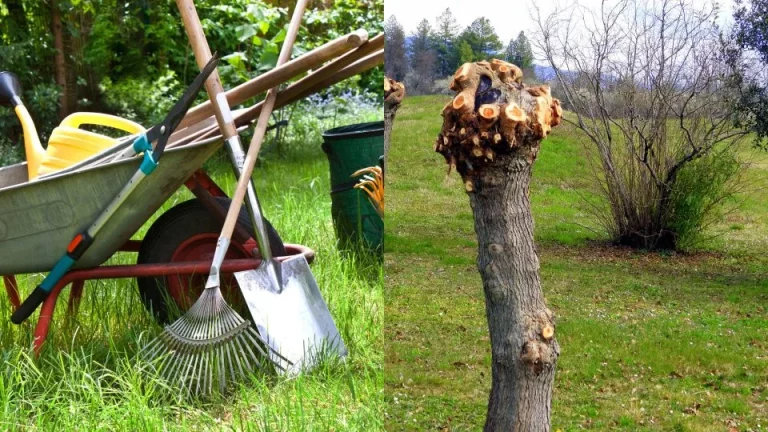10 tijdsgevoelige tuinklussen die je moet afronden vóór de winter