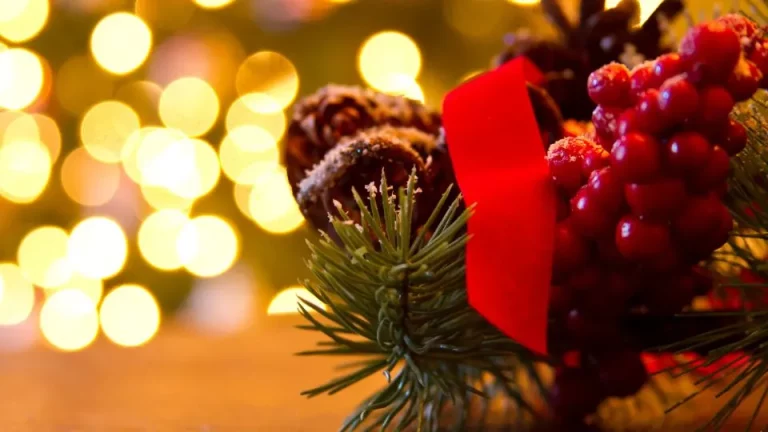 3 manieren om maretak de hele winter binnenshuis te laten gedijen