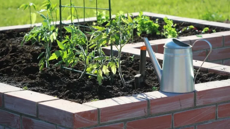 Gebruik deze 3 tips om meer diepte in je bodem te creëren en je planten te laten floreren