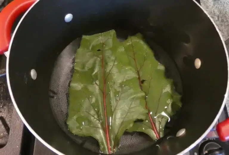 De geneeskracht van bietenbladeren – een verborgen schat in je keuken