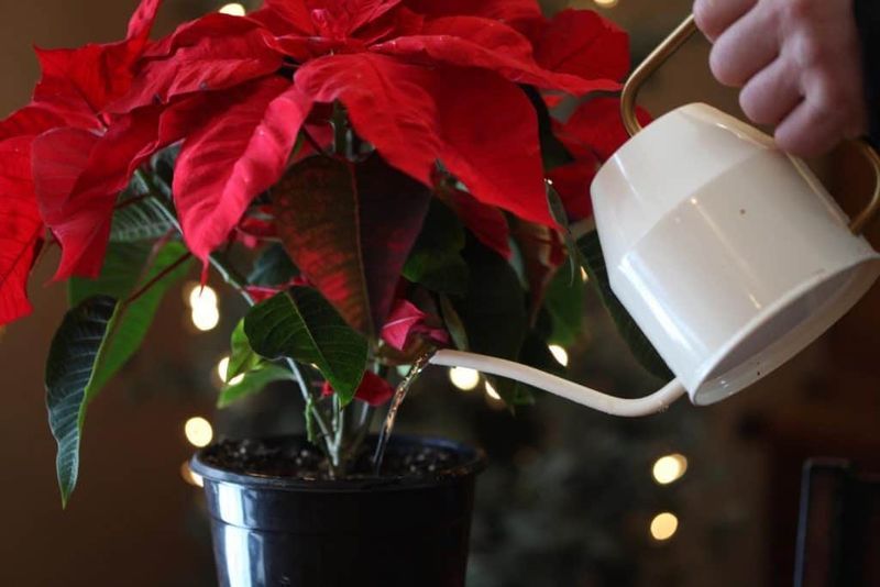 4. Use Room Temperature Water