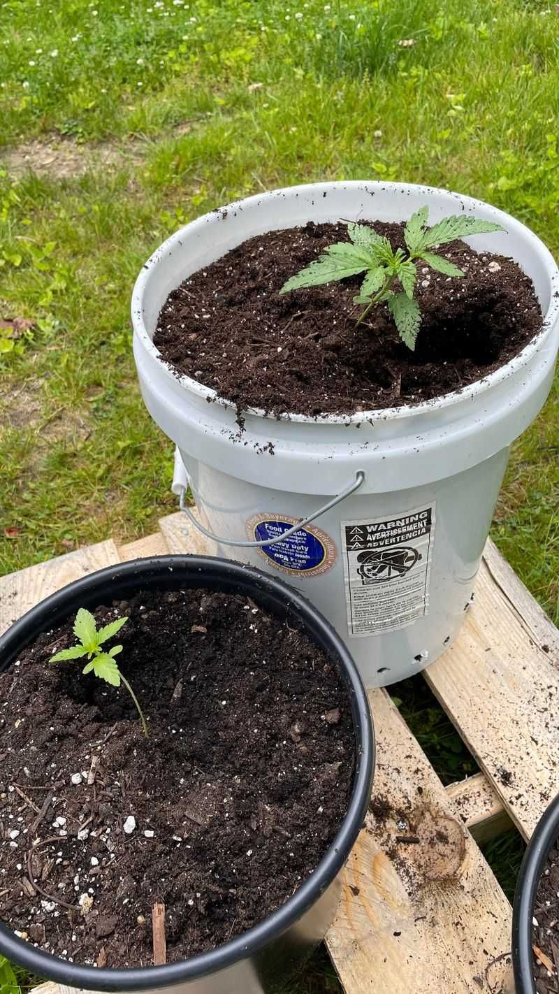 Compost Contributors