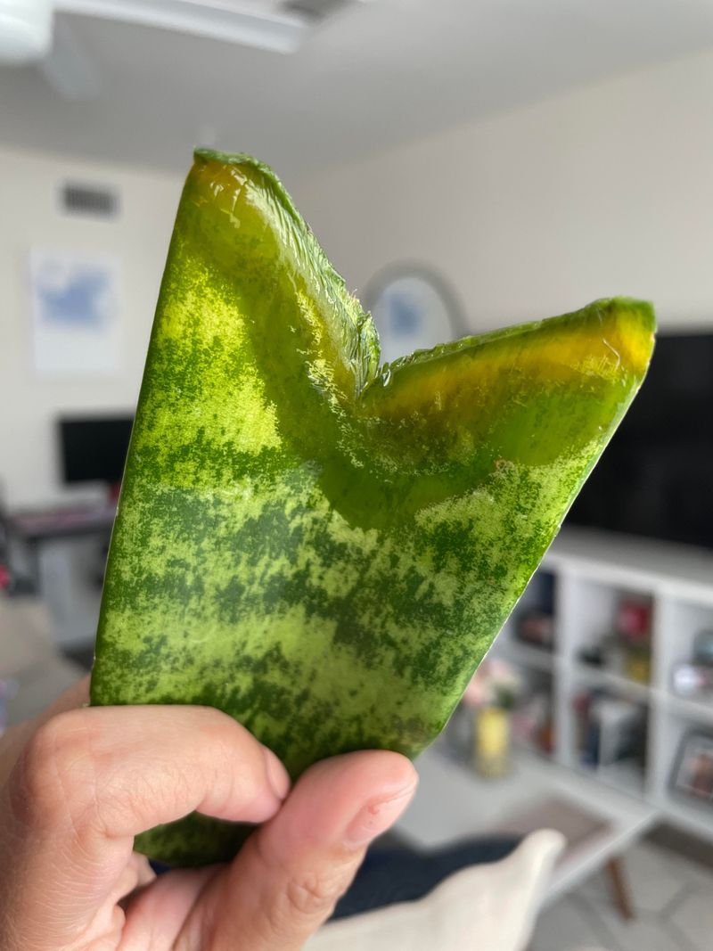 Step 1: Select Your Cutting