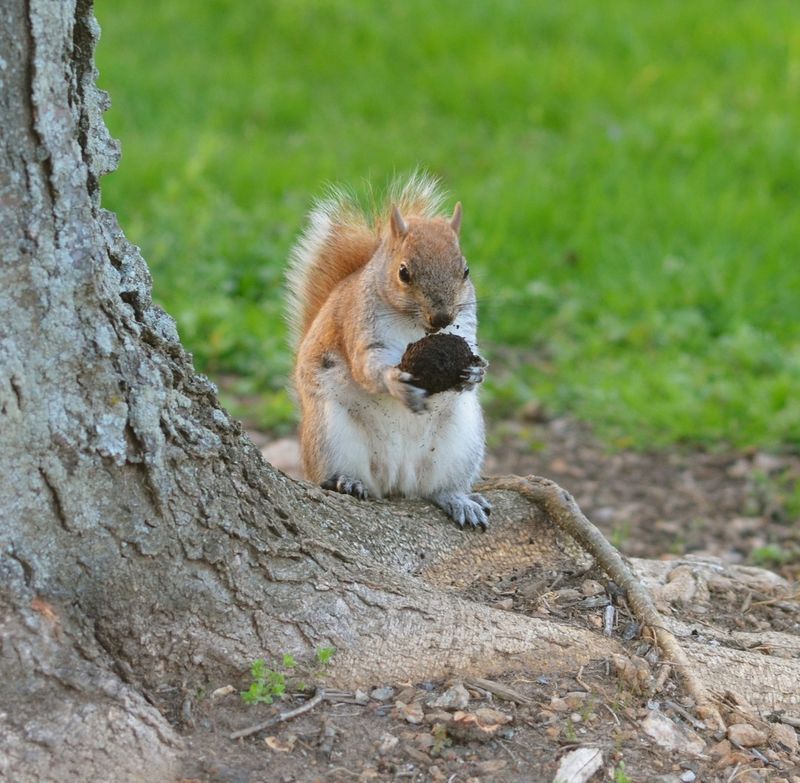 Teaching Opportunities