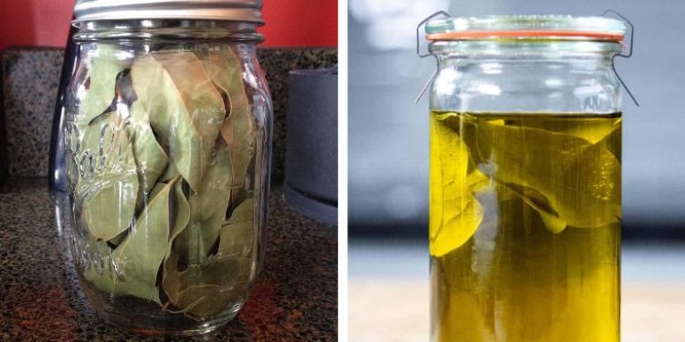 Hoe je zelf laurierolie maakt – en waarom het een verborgen middel is tegen pijn en ontstekingen