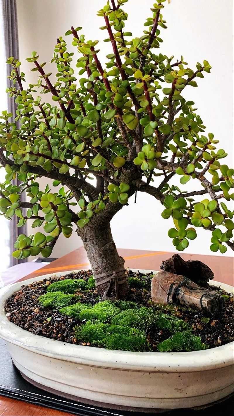 Strategic Pot Selection