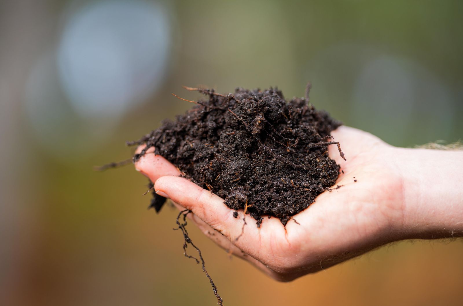 soil in hand