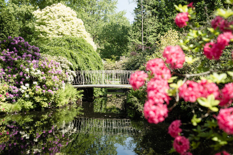 10 Droomachtige Botanische Tuinen in Nederland die Iedere Natuurliefhebber Moet Zien