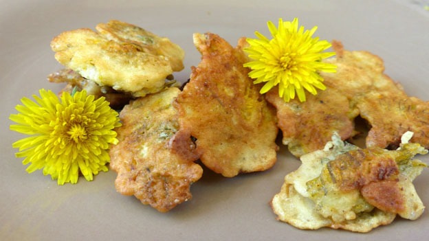 dandelion fritters