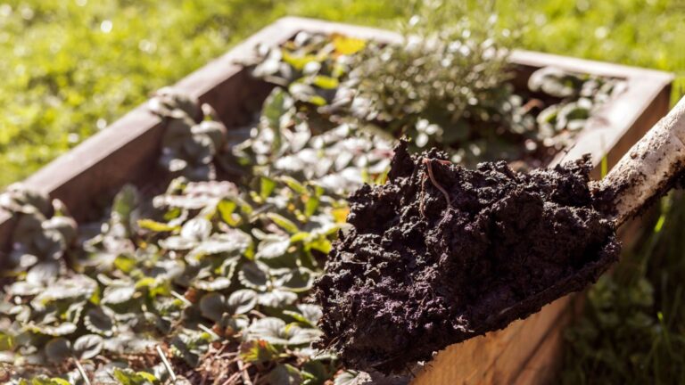 11 essentiële bodemingrediënten die je aan je verhoogde bedden moet toevoegen