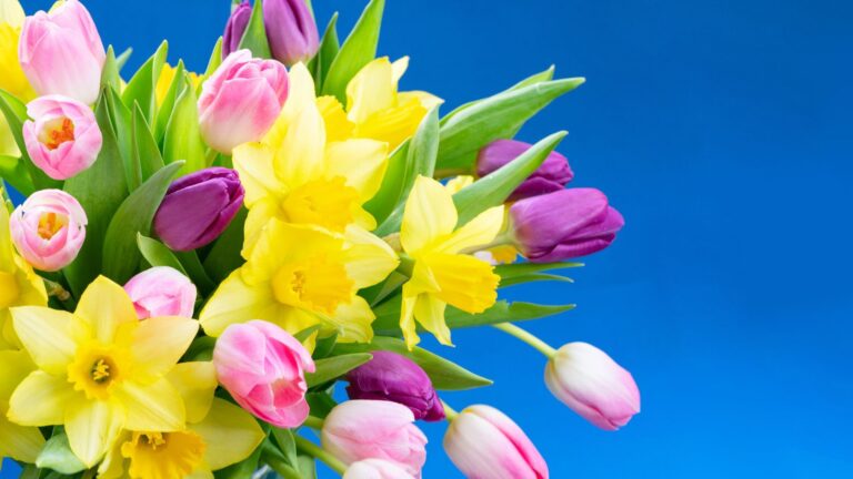 20 schitterende planten die je narcissen extra laten opvallen