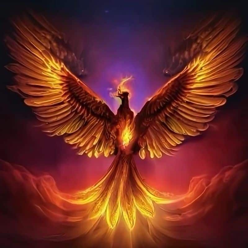February Phoenix Souls: Rising from Life's Ashes