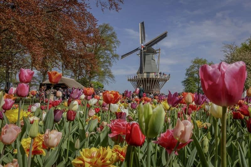 Keukenhof Gardens