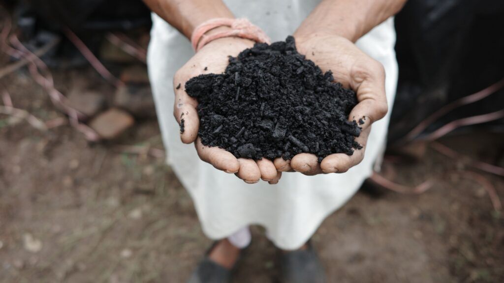 gardener holds a handful of biochar