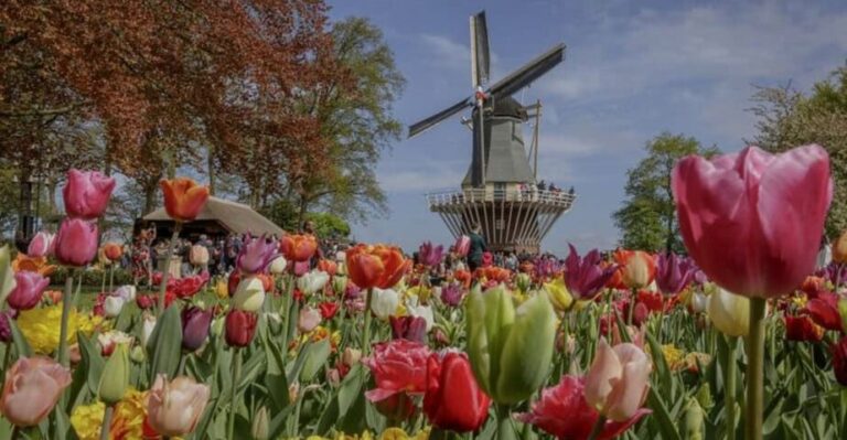 Het tulpenseizoen in Nederland komt eraan — dit zijn 6 prachtige tulpenboerderijen die je moet bezoeken