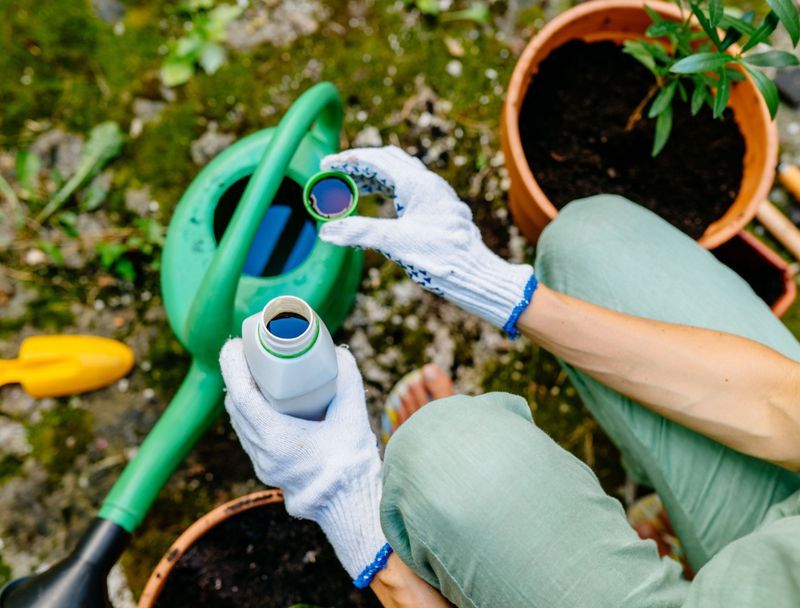 Add slow-release fertilizer