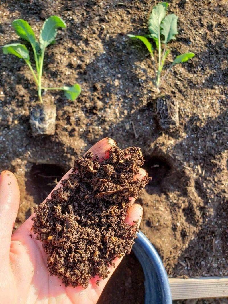 Add worm castings for nutrients