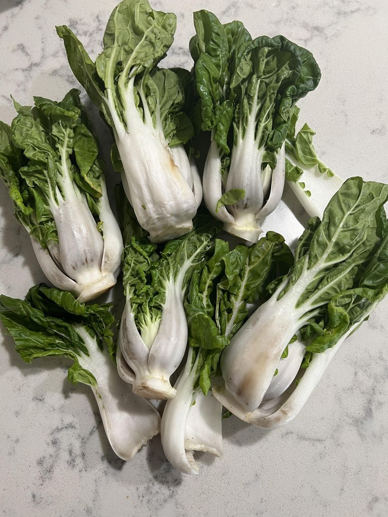 Bok Choy