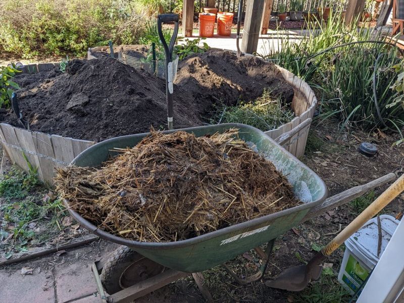 Incorporate organic matter