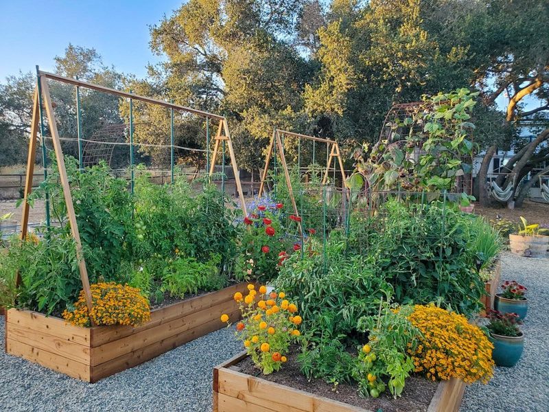 Plan for companion planting