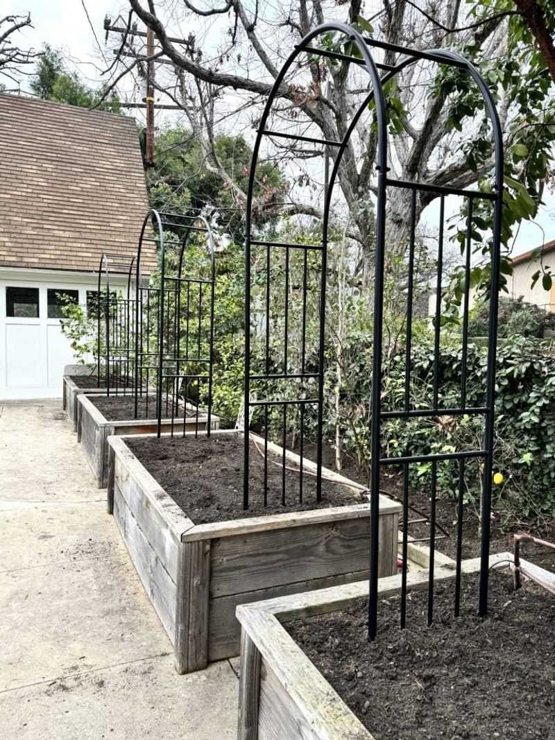 Set up vertical structures for climbing plants